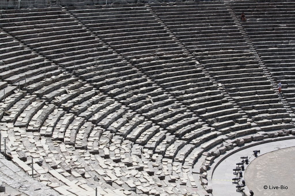UNESCO Heritage Site the Ancient Epidaurus Theatre