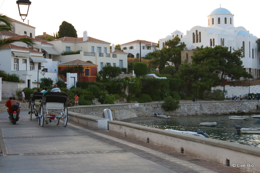 Live-Bio - Spetses