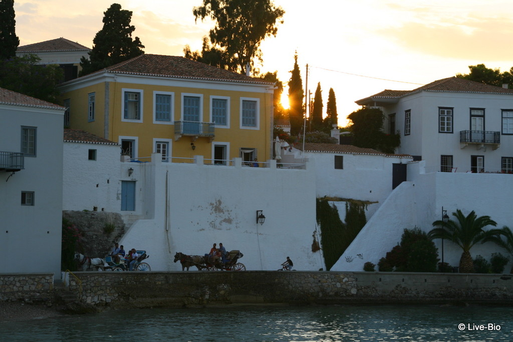 Live-Bio - Spetses