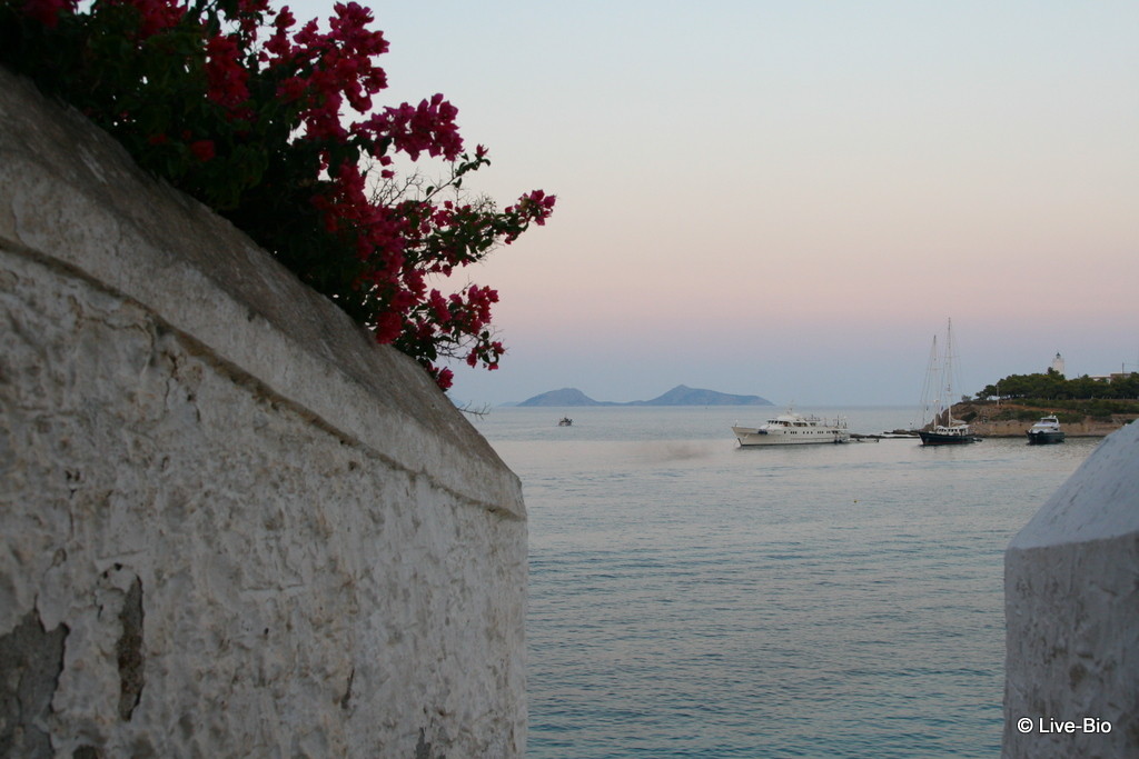 Live-Bio - Spetses