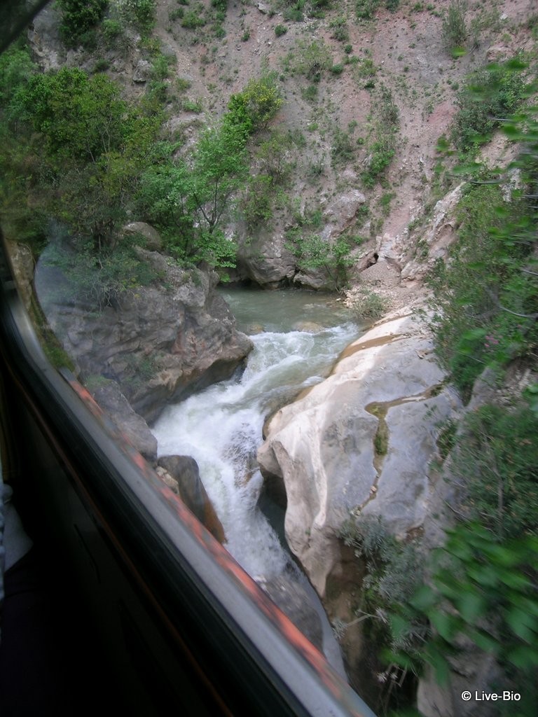Travel - Vouraikos Gorge