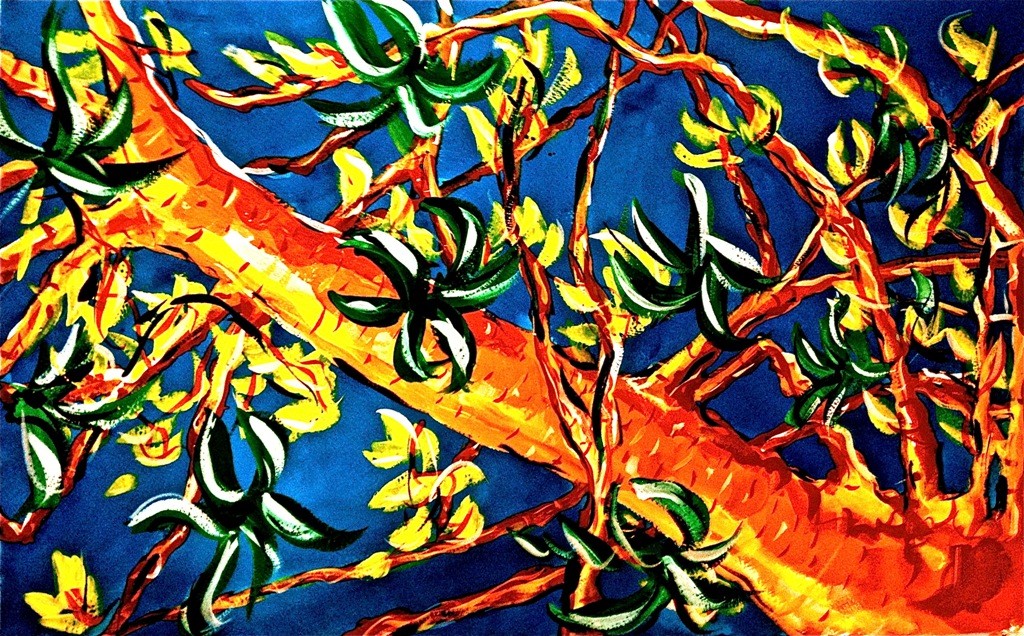 You can see olive trees in the area were an inspiration for Bill and Betty's paintings