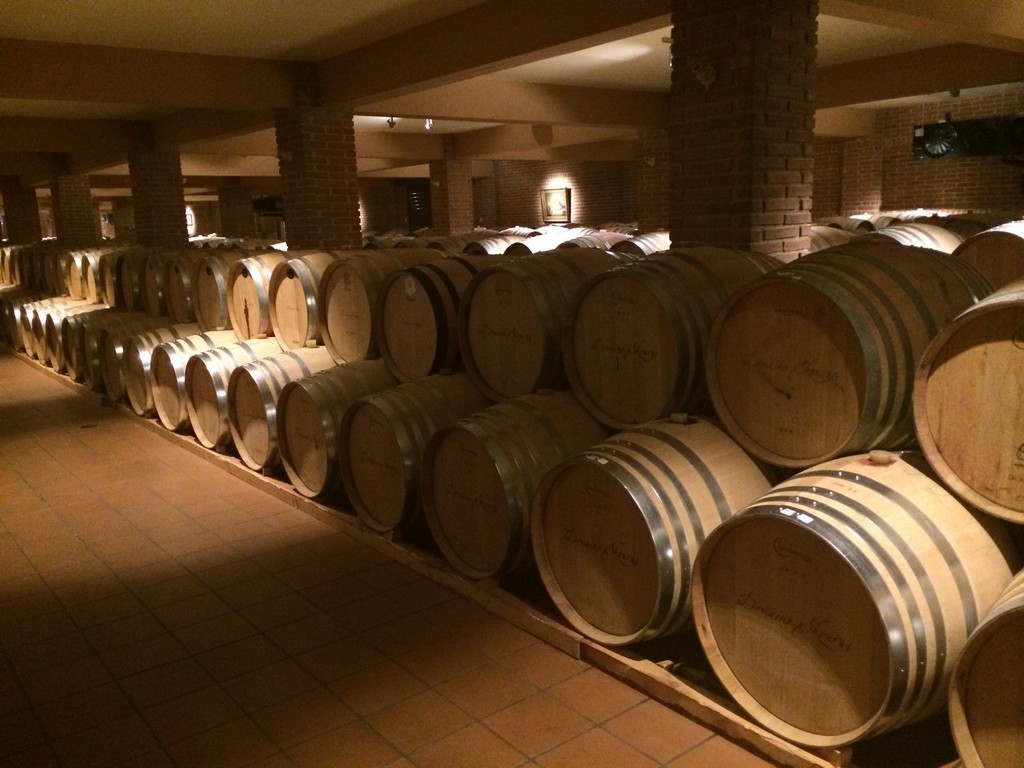 Skouras wine farm in Nemea region