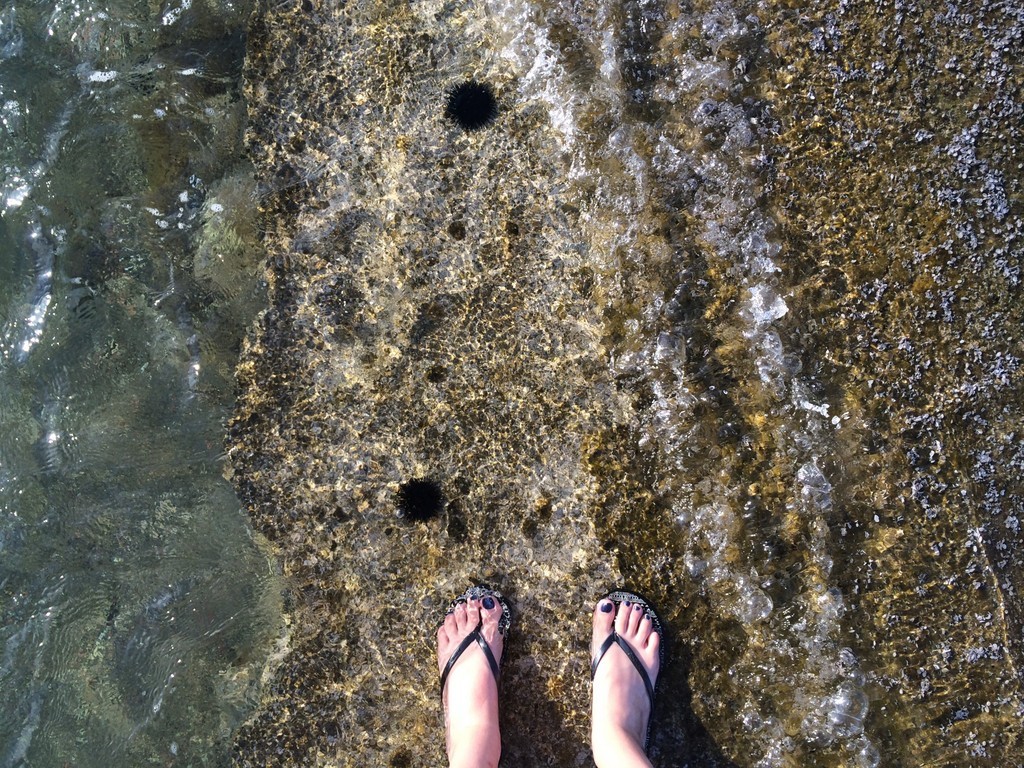 Crystal clear waters of the Aegean sea