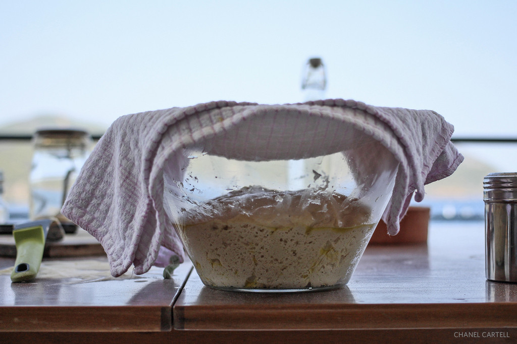 Bread making at Live-Bio