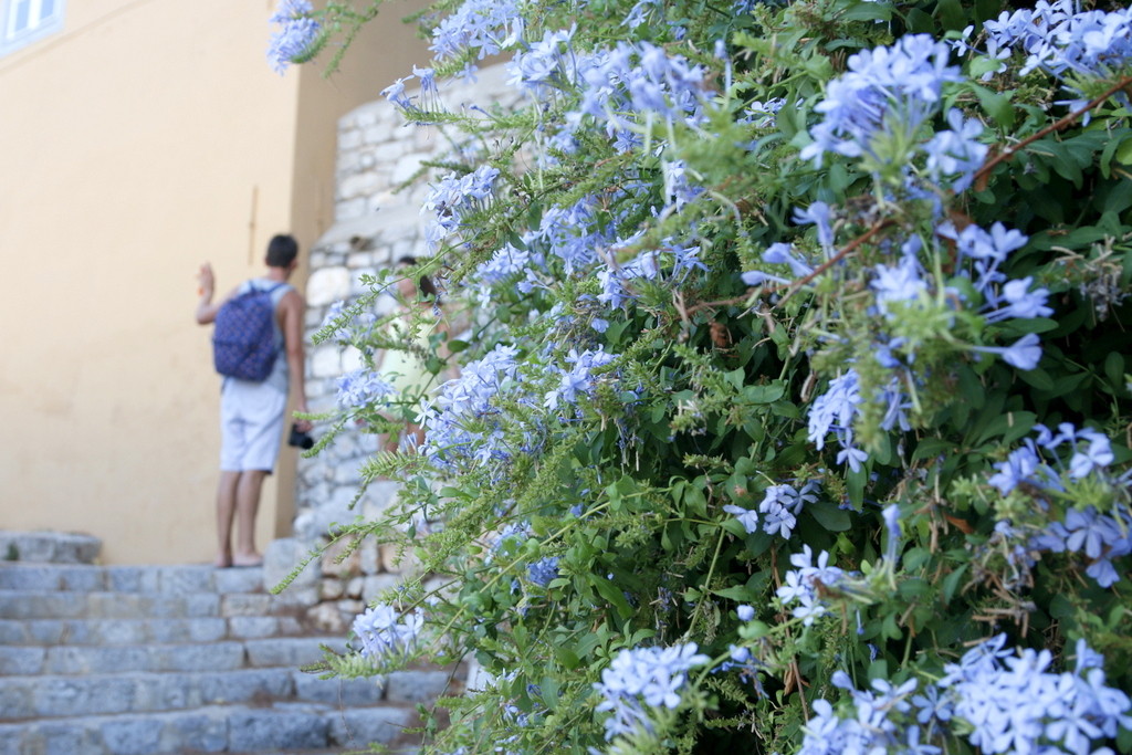 Sailing to Spetses and Hydra