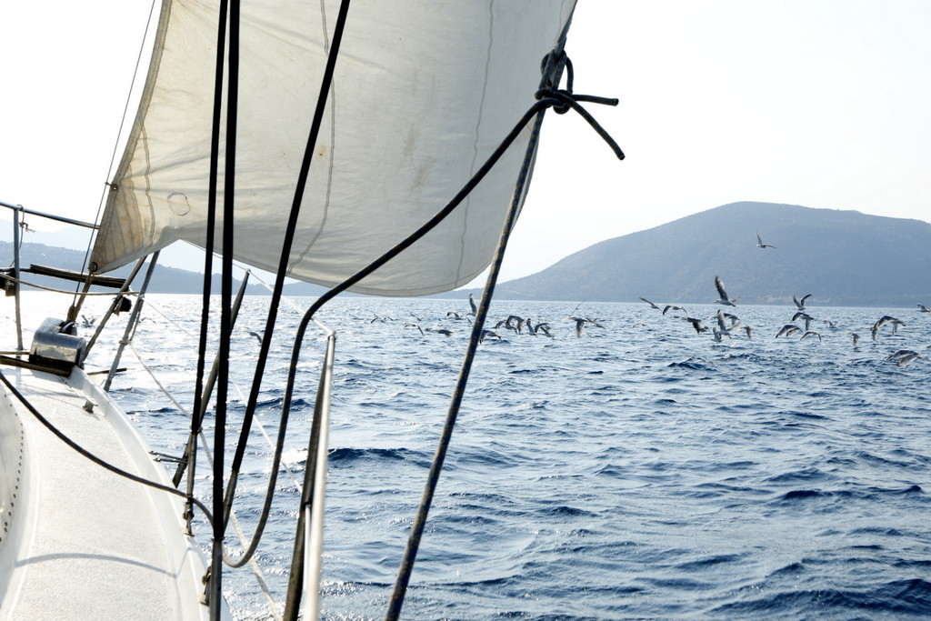 Sailing around Poros island