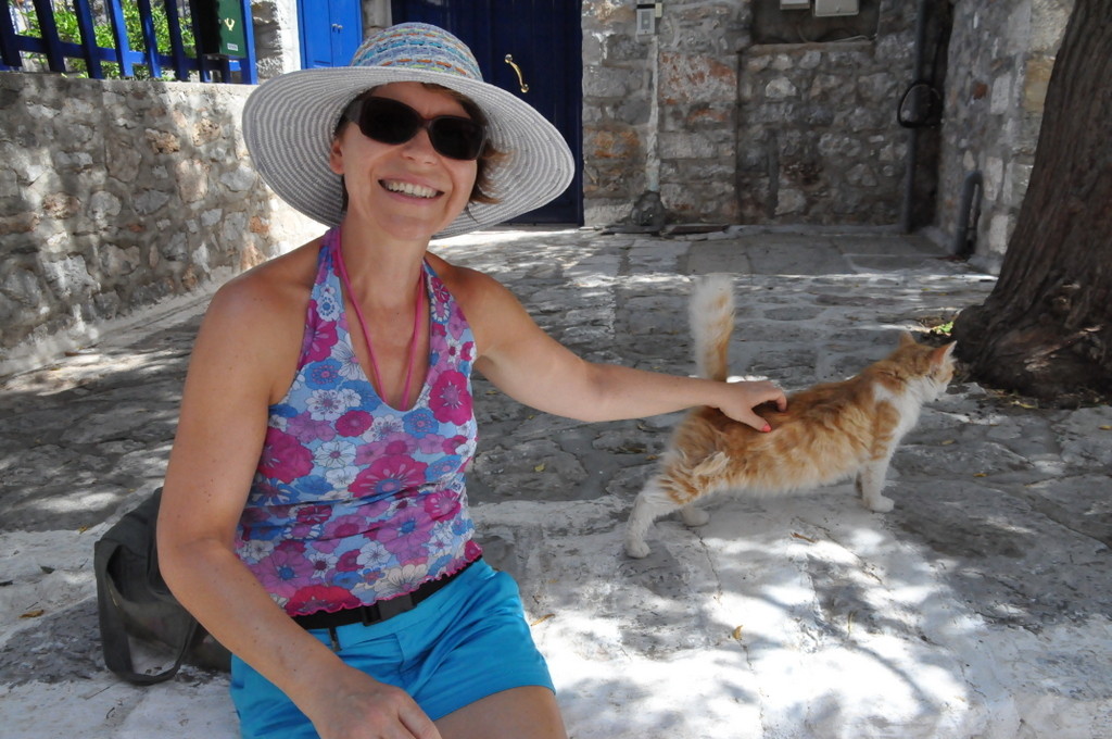 Cats on Hydra live a good life!