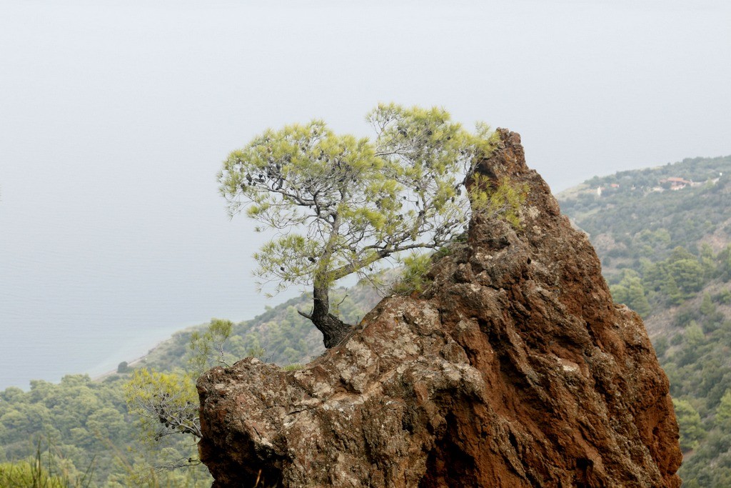 Hiking the volcano of Methana