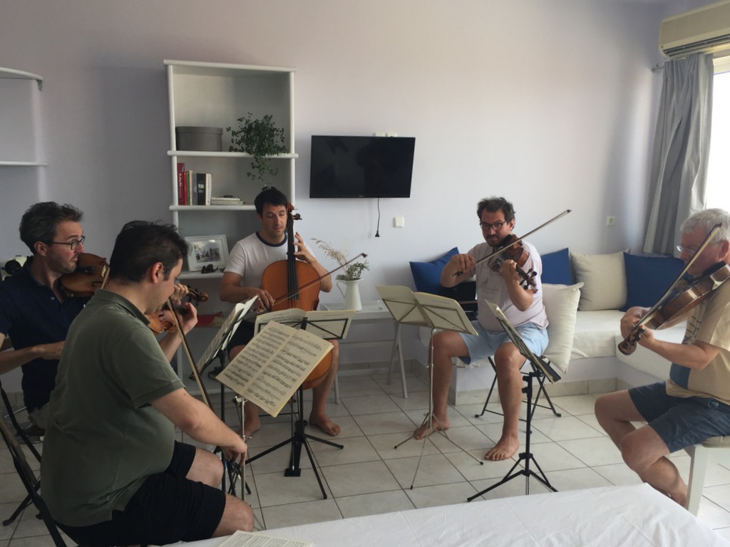 Saronic Chamber Orchestra Festival 2016 - practice at Live-Bio