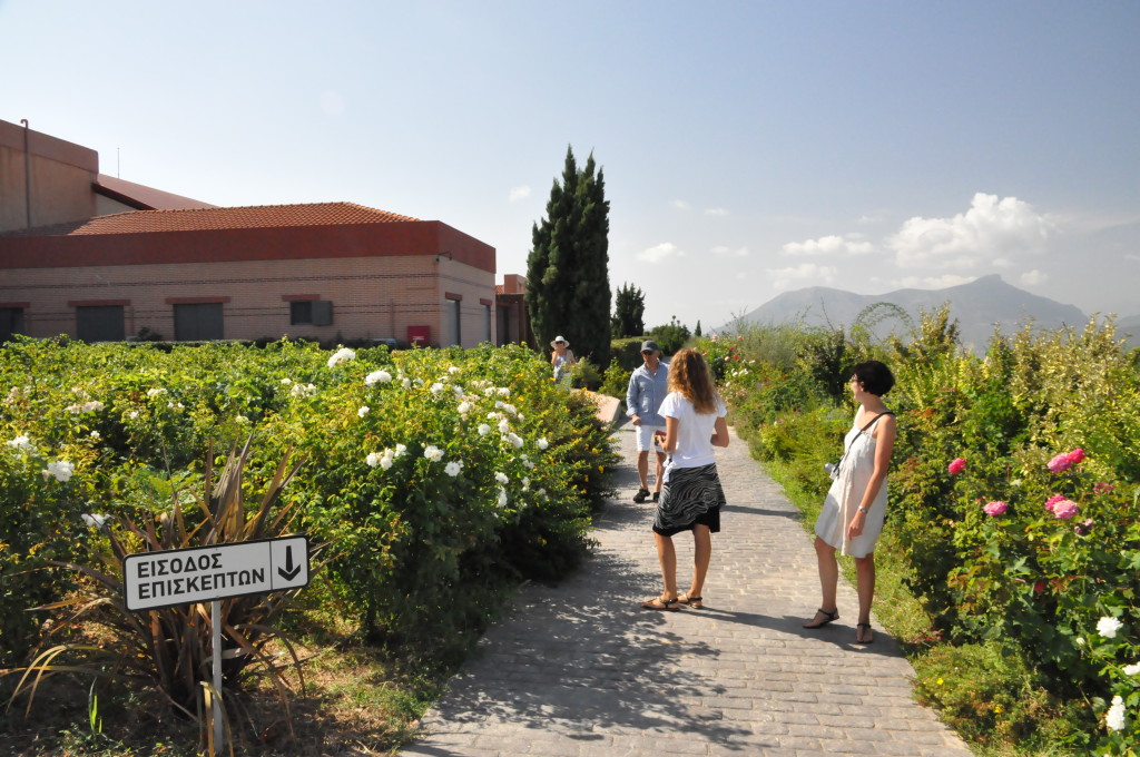 Views from the Semeli vineyard
