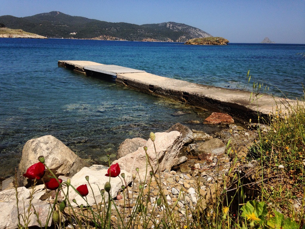 Aliki beach vicinity - walking distance from Live-Bio