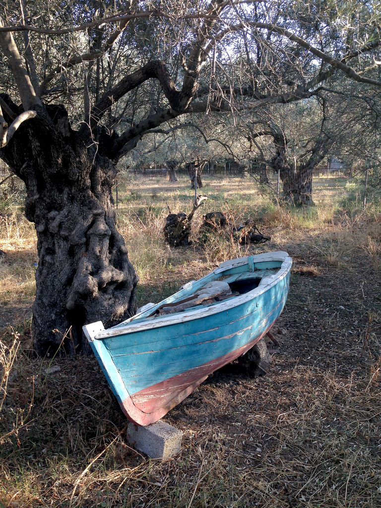 Those olive trees are a few hundred years old. The boat? who knows...