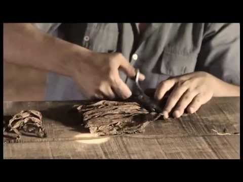 How cigars are made in Cuba
