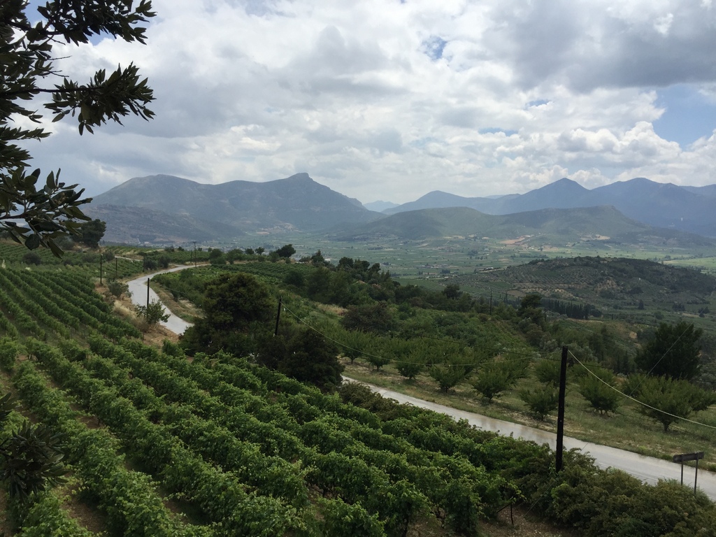 View of the Nemea valley