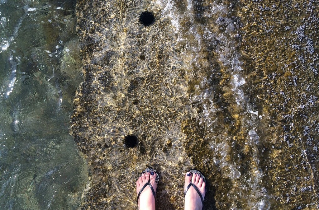 Crystal clear waters of the Aegean sea