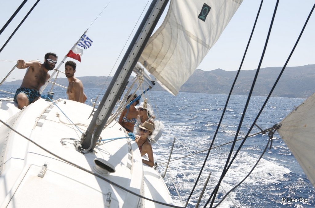 Sailing around Poros island