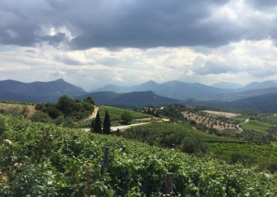 Nemea the 3000 year old wine making region