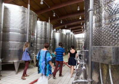 Wine making tour in Nemea