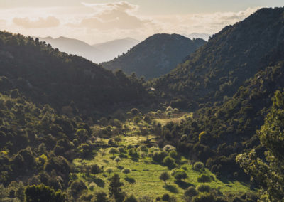 Methana peninsula the valley