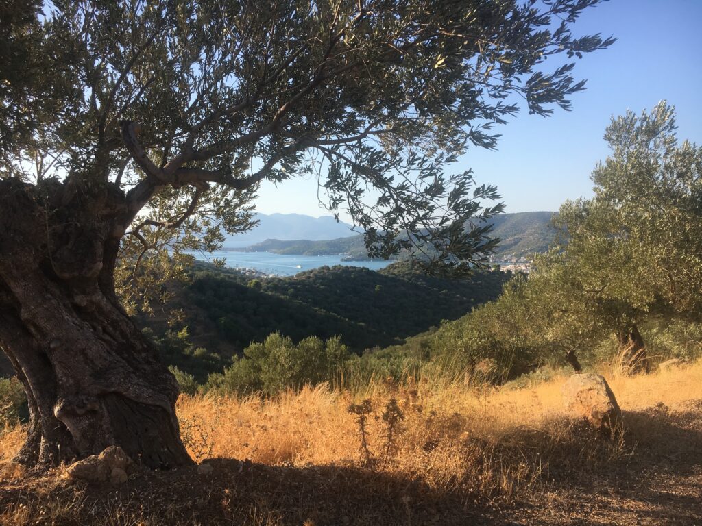 Trail running in Greece